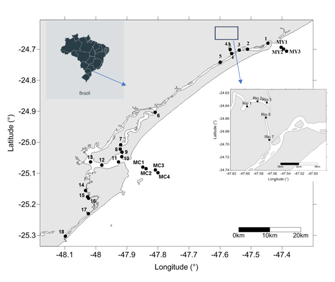 Figure 1: Location of the Cananéia-Iguape Estuarine-Lagoon Complex (CIELC) and the position oof the sampling points.