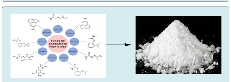 Figure 2: Carbamates molluscicides [4].