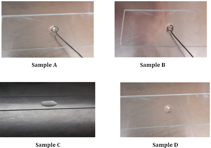 Figure 1: Catalase Test (A,B,C and D).