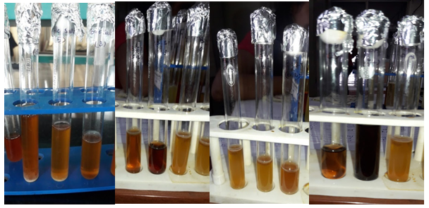 Figure 2: Growth at different pH (A,B,C and D).