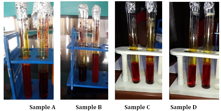 Figure 5: Sugar Fermentation (A,B,C and D).