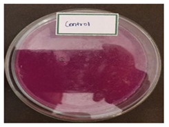 Figure 1: Control.