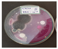 Figure 3: (10-3).