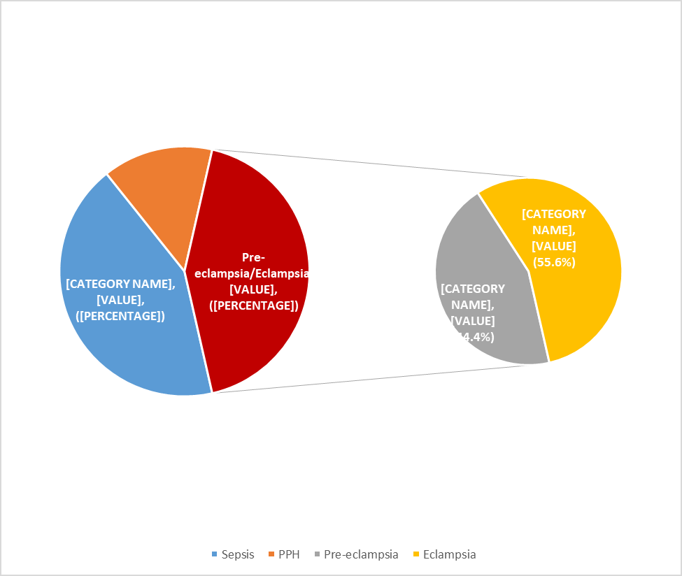Figure 2: Representation of causes of Maternal Mortality.