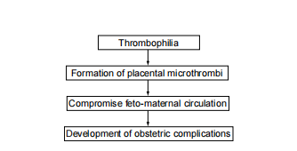 Figure 2: Proposed mechanism of thrombophilia-related placental dysfunction.