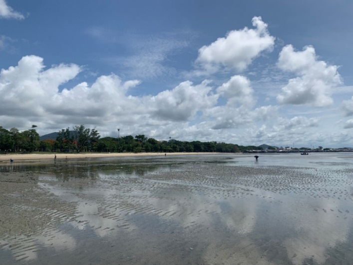 Figure 2: The sampling area where seagrass was present during the lowest tide period in the Ao Pae area, Rayong Province.