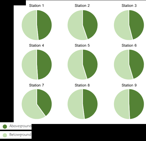 Figure 4: On average, the proportion of organic carbon content in the belowground parts was found to be higher than in the aboveground parts. The difference between the organic carbon content in the aboveground and belowground parts was statistically significant (p < 0.05).