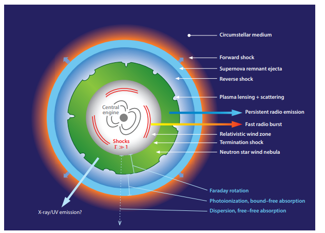 Figure 5: Schematic diagram of an FRB source engine with a young, highly magnetized neutron star,i.e. magnetar developed by Margalit B, et al. [54]. (Figure adopted from ref. Cordes JM, et al. [87] and Metzger B, et al. [83]).