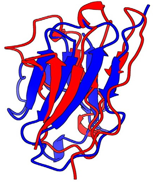 Figure 10: Superpose of the predictions.