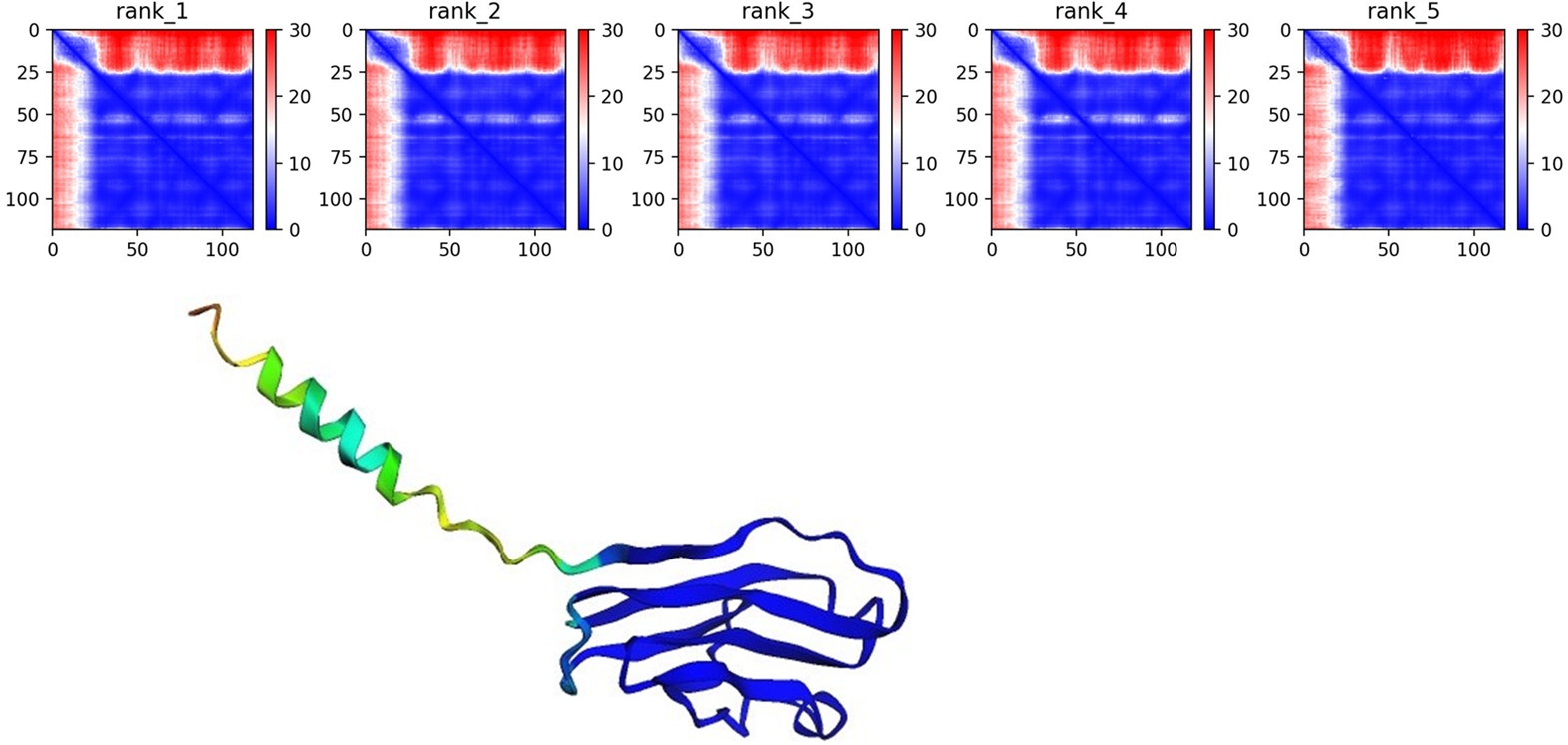 Figure 5: Parameters of the AlphaFold prediction.