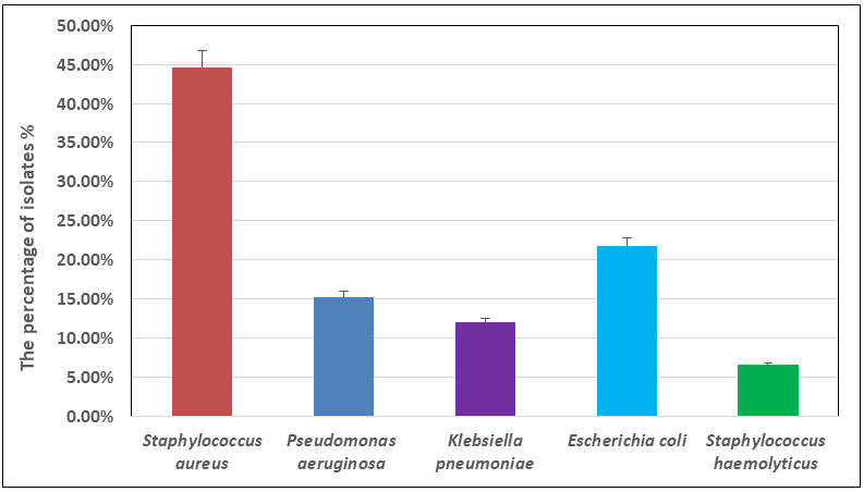 Figure 2: Showing the distribution of bacterial species isolated from different clinical cases.
