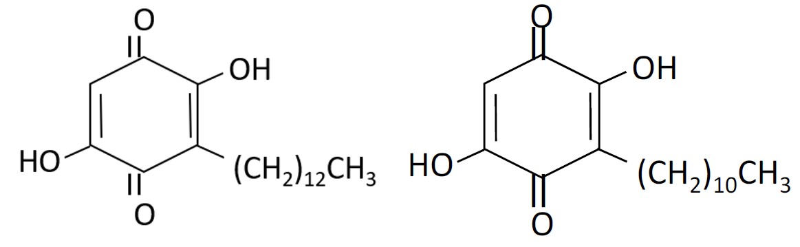 Figure 1: Structure of Compounds Isolated from CR Extract.