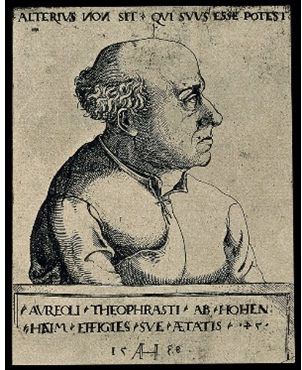 Figure 2: Federico II Svevia.