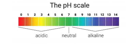 Figure 55: pH Scale. PH= -Log (conc. H+)