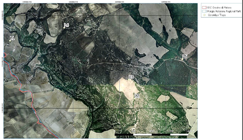 Figure 1: Maps of installed traps in “Bosco di Lucignano”.