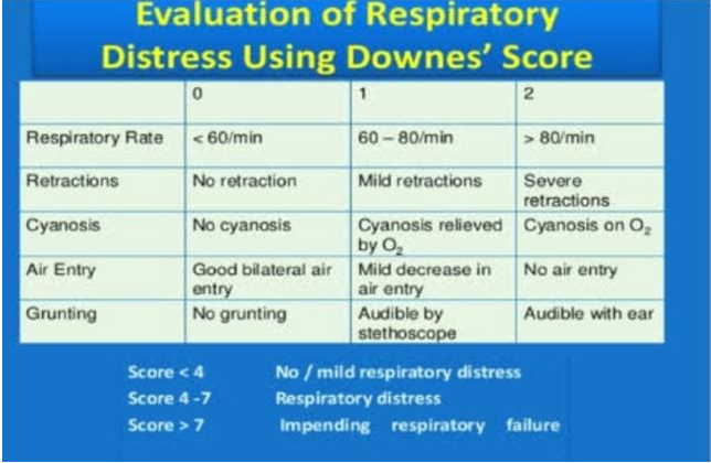 Figure 4: Downe’s Score. Clinical Presentation
