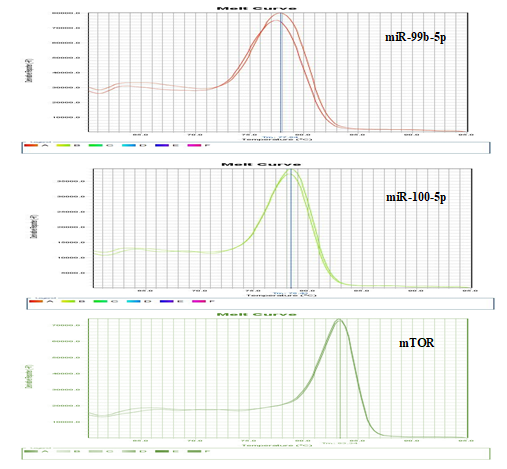 Figure 7: Melt Curve Analysis. A Single Distinct Peak in Real-Time PCR Products Shows Pure Specific Amplicon and Ensures that only the Real Target is Amplified.