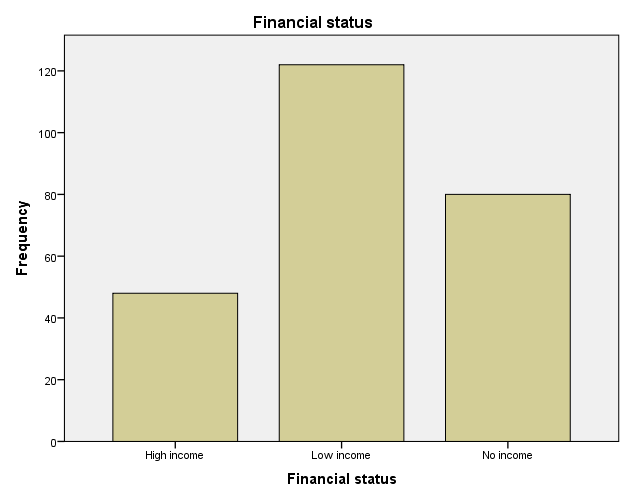 Figure 5: Occupation.