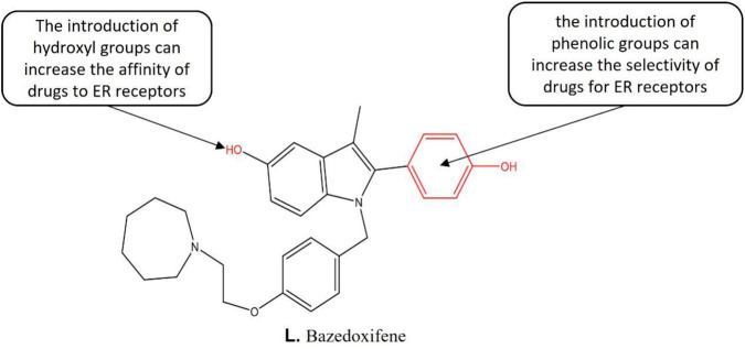 Figure 11: Courtesy ref no-Structure-activity relationship of Bazedoxifene [23].