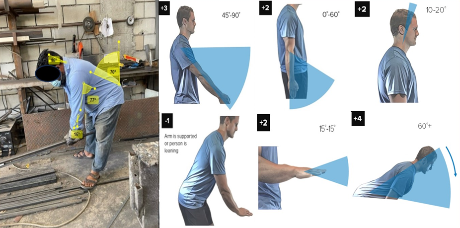 Figure 4: RULA Assessment-Iron Clipping Task.