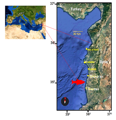 Figure 1: Map of the Syrian coast (eastern Mediterranean Sea) showing the location of fishing of Thunnus obesus on Baniyas coast.
