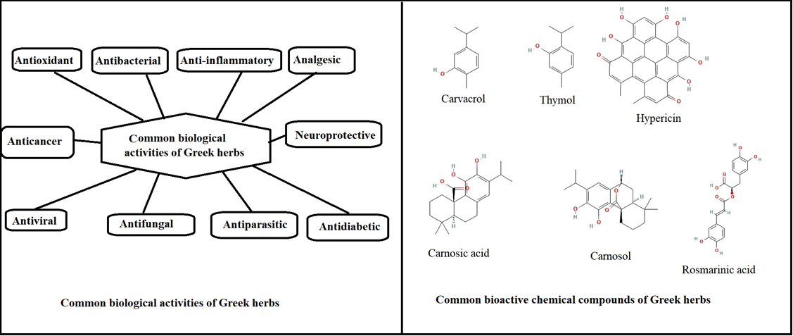 Figure 1: Common biological activities and bioactive chemical compounds of Greek herbs.