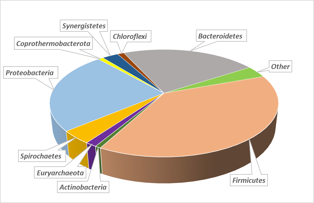 Figure 2: Biodiversity in an anaerobic digester at AD for biomethane production at 55°C - main phyla relative share.
