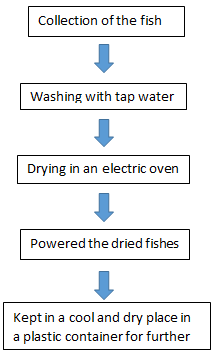 Figure 1: Flowchart of fish processing for quality assessment.