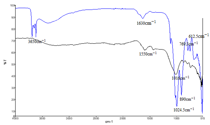 Figure 4: The major absorbance bands of untreated coal were found to be aromatic side chain rings (500-1000 cm−1), carbonyl group (1630 cm−1), alcohols (3650 cm−1), secondary alcohols (1114.2 cm−1), amine group (1024.5 cm−1), halogen group (612.5 cm−1) and benzene derivatives (769.3 cm−1). The treated coal with fungal strain NF-1 shows absorbance peaks at 3281.6 cm−1 and 2162.23 cm−1 containing hydroxyl groups and Azide group that were absent in untreated coal used as reference. The similar result was reported by adnan et al, 2019 in his study showing strong stretches of hydroxyl group at 3276 cm−1. In another study [13,22] Tao X, et al. and Yin S, reported by solubilization of wood decaying fungal strain by using lignite coal shows presence of OH group at 3400 cm−1, while peaks at 3000 cm−1 and 2800 cm−1 indicates C-C stretches. The untreated coal used as control shows presence of strong C=O and C=C stretches of aromatic compounds that seems to be absent in treated coal sample. This shows the degradation of aromatic compounds performed by NF-1 fungal strain and the same activity were reported by Fusarium Oxysporum producing enzyme laccases undergoing biosolubilization of lignite coal [25].