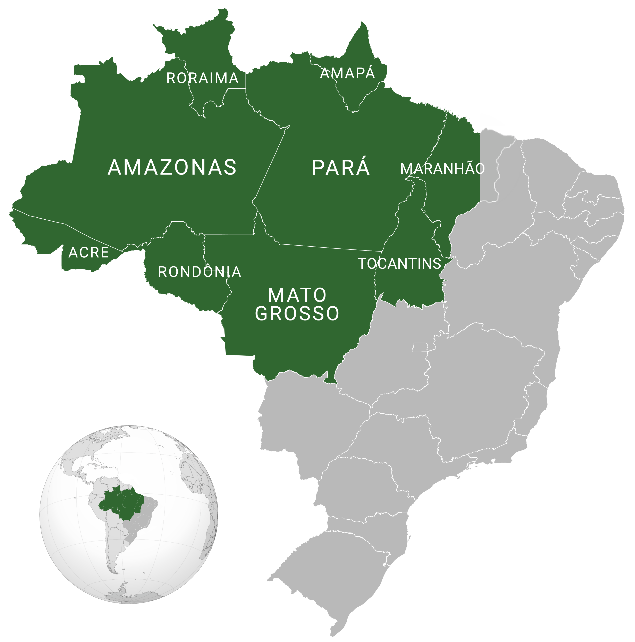 Figure 1: Brazilian Legal Amazon [3]. The development process in the region has prioritized capital-intensive and labor-saving ventures, whose dynamics, determined by the foreign market, promote an economically unequal, sectorally heterogeneous and socially excluding model. As a result, Amazonian states have the worst results in terms of social and health indicators at a national level, expressing this exclusion. In the region, only 58.9% of the population has a water supply, 13.1% has access to sewage collection and only 21.4% of the sewage generated is treated and, in areas bordered by rivers, the absence of sewage collection reaches 95.9%. It should be considered that access to water and basic sanitation are the main health conditioning factors for populations living in rural, forest and water areas. In addition, life expectancy in the region is low due to mortality from non-communicable causes and infectious diseases (mainly among children) and accidents and violence (among young adults) [4].