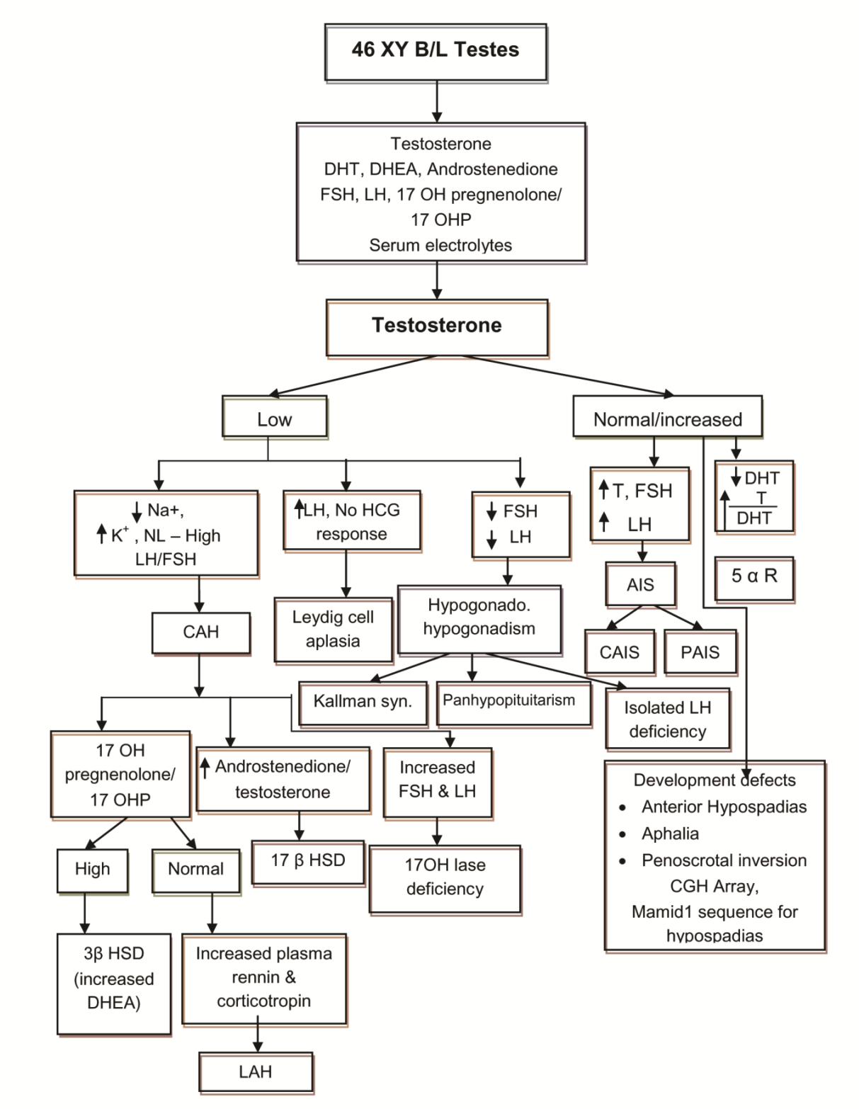 Figure 2: Karyotyping was done for all patients on peripheral blood lymphocytes. Pelvic and abdominal ultra sonography helped to detect the presence of gonads and mullerian structures. Other investigations included genitogram, laparoscopy and gonadal biopsy. For older cases, previous investigations were analysed, PCR for SRY or mutation analysis for enzyme defects were not available in our settings from the clinical examination and the investigations, and we arrived at the aetiological diagnosis of XY DSD as shown in Figure 1 and 2, which is made with modifications from standard literature. The definitions used for various diagnosis and abbreviations are given in Table 2.