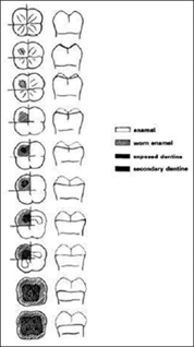 Figure 1: ** Li and Ji’s Staging Chart.