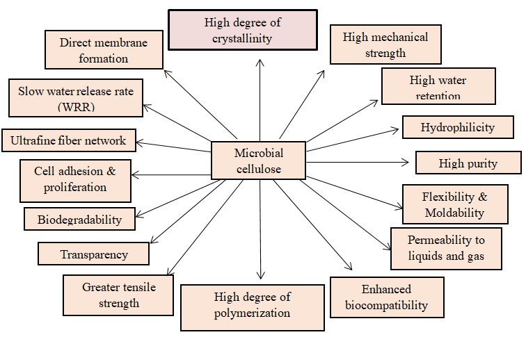 Figure 1: Properties of microbial cellulose [4,6,7].