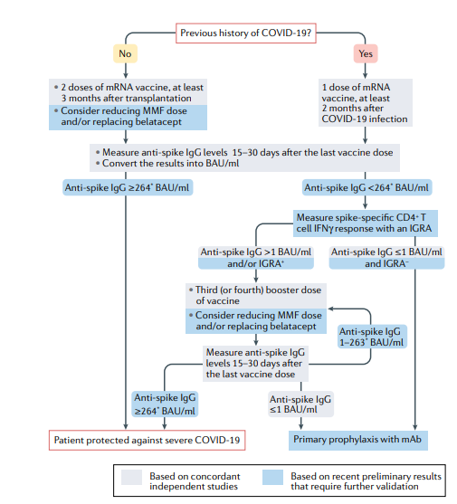 Figure 5: Vaccination approach for kidney transplant recipients [52].