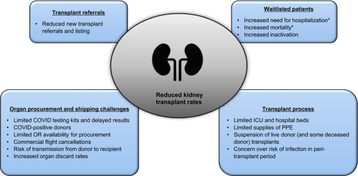Figure 6: Factors affecCting kidney transplantation rates during COVID-19 [48].