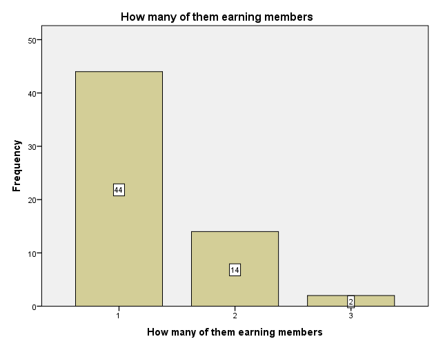 Figure 9: Distribution of respondents by Main earning members.