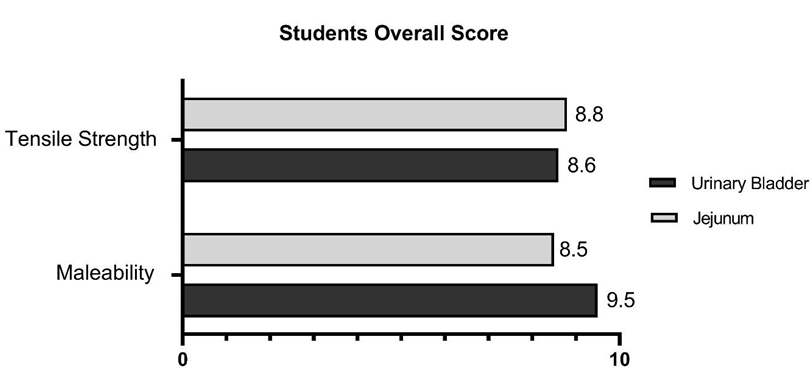 Figure 5: Average grades (from 0 to 10) attributed by the students to the viscera characteristics concerning tensile strength and malleability.