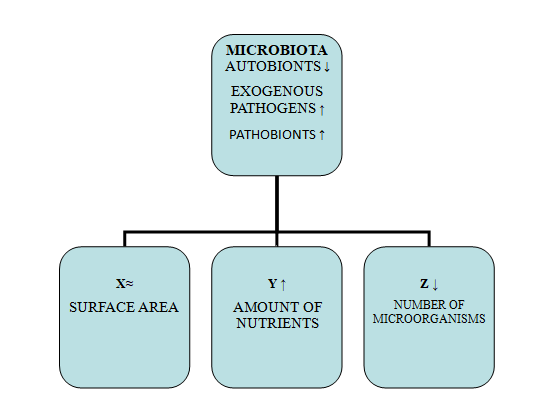 Figure 2: Dysbiosis.