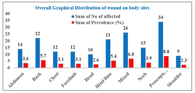 Figure 2: Overall Graphical Distribution of Wound on body sites. Causes and Risk Factors of Wounds in Working Donkeys The majority of wounds in donkeys were caused by improper harnesses and biting. The lower prevalence