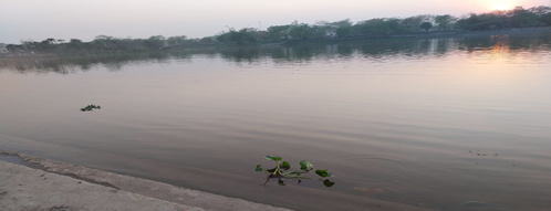 Figure 1: Rani Talab area (site-1).