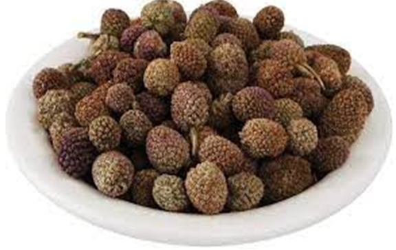 Figure 2: Fruits of _Sphaeranthus indicus Linn_.