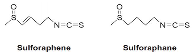 Figure 1: Chemical structures of sulforaphene (SFE) and sulforaphane (SFN). Many researchers have focused on finding isothiocyanate (including SFE) in cruciferous crops, such as: broccoli, cabbage, cauliflower, as a potential chemo preventive source but rarely in _R.sativus_ due to its relative low quantity as well as structural similarities between SFE and SFN. In the present study, we attempted to isolate the SFE from different parts of _R.sativus_ and to identify SFE using a mass spectrometry.