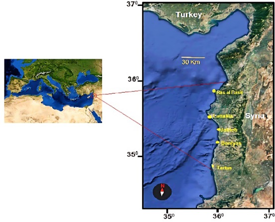 Figure 1: Syrian coast (Eastern Mediterranean Sea).