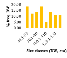 Figure 5: A. Disc width frequency distribution (DW); B. Age composition for Gymnura altavela in Syrian waters.