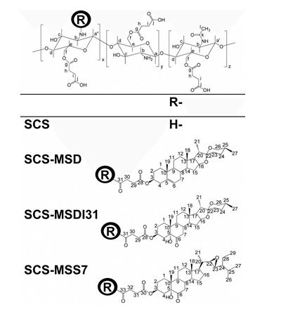 Figure 1: unmodified chitosans [16]. The high degree of acetylation achieved (DA 53%) in the prepared N,O6-partially acetylated chitosan nanoparticles reduced the high inherent surface charge of chitosan-based particles and inhibited totally the in vitro agrochemical activity of chitosan-linked brassinosteroids DI31 and S7 when evaluated at the concentrations employed in agriculture (10-6 to 10-7 mg mL-1). That is why the design of other chitosan-based self-assembled particles for sustained delivery of agrochemicals is still under our research. The hypothesis of our work is that the advantages of carboxyl- containing chitosan over unmodified chitosan and hydrophobic acetylated chitosan for pH-controlled releases, would allow us to prepare suitable steroid-N- modified O6-succinyl chitosan nanoparticles with good agrochemical and potential anticancer activities. To the best of our knowledge the preparation of O6-succinyl chitosan covalently linked to steroids for their controlled release as agrochemicals and potential anticancer drugs has not been reported. This article reports on preparation of self-aggregated nanoparticles of diosgenin- and two Cuban synthetic analogues of brassinosteroid-N-modified O6-succinyl chitosan, to achieve their controlled release.