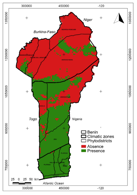 Figure 6: Projection of the spatial distribution of S. mombin in the present in Benin.