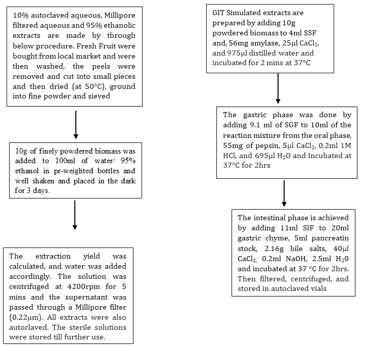 Figure 1: Layout of Aqueous and Ethanolic extract preparation methods and their exposure to GIT Simulation.