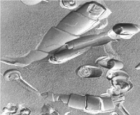 Figure 1: Cigarlike structure of Nano-cochleates.