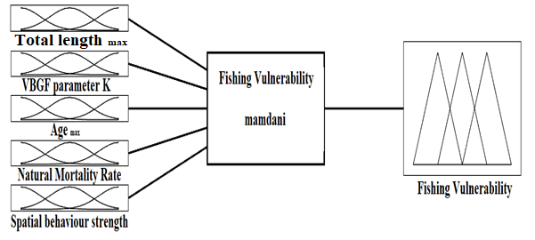 Figure 4: Fuzzy inference system variables (Inputs: TLmax, K, Tmax, M, S; Output: FV).