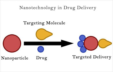 Figure 1: Schematic Representation of Targeted Drug Delivery by Nanotechnology.